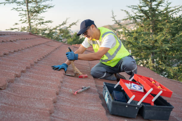 Professional New Zealand roofing services